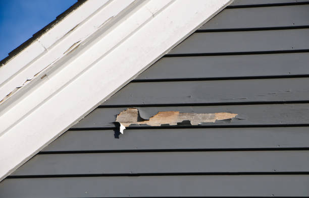 Best Siding Removal and Disposal  in Park River, ND